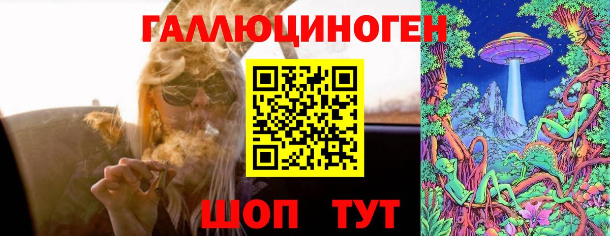 Псилоцибиновые грибы Psilocybine cubensis Нижневартовск